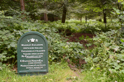 Wilverley Enclosure Sign New Forest